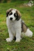 /album/vulcan-boss-tor/dsc-6432-2-jpg/